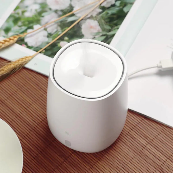 Mini USB Aromatherapy Diffuser and Humidifier